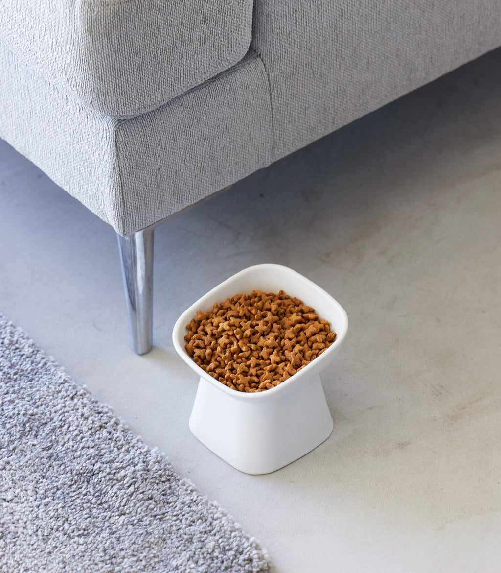 Tilted Pet Food Bowl